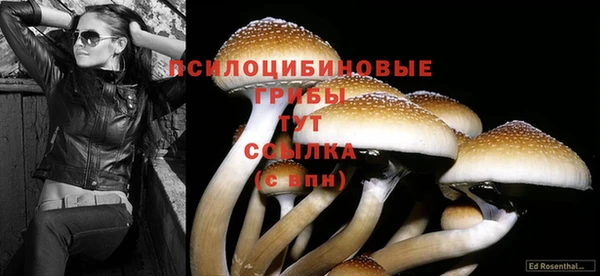 первитин Алексеевка