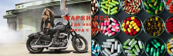 тгк Алзамай