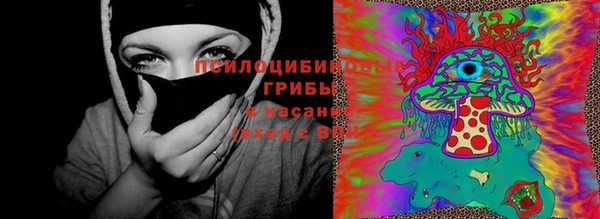 тгк Алзамай